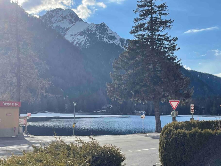 Charmant 2,5 Pieces Avec Jardin A 2 Pas Du Lac Champex-Lac Buitenkant foto